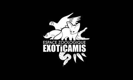 exoticamis